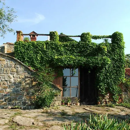 Istria Divina Guest House Marezige Exterior photo