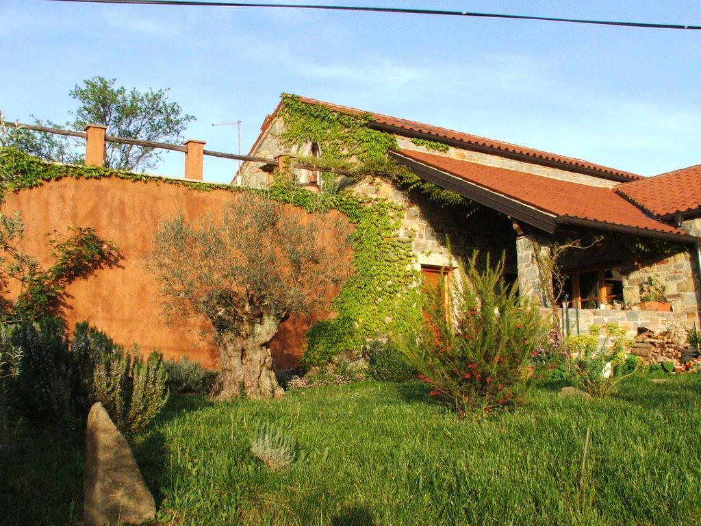 Istria Divina Country house Marezige