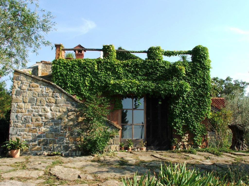Istria Divina Hétvégi ház Marezige