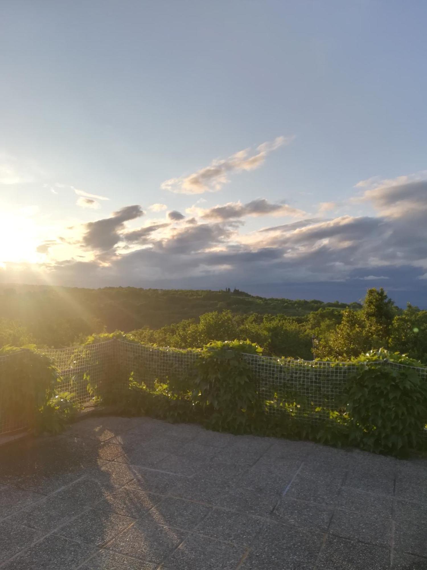 Country house Istria Divina Marezige