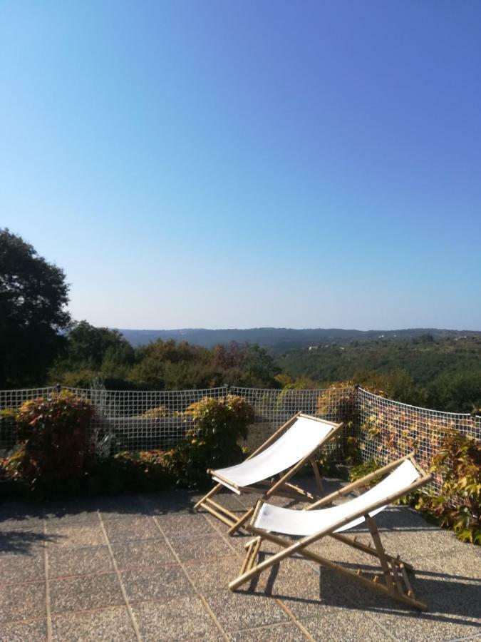 Country house Istria Divina Marezige