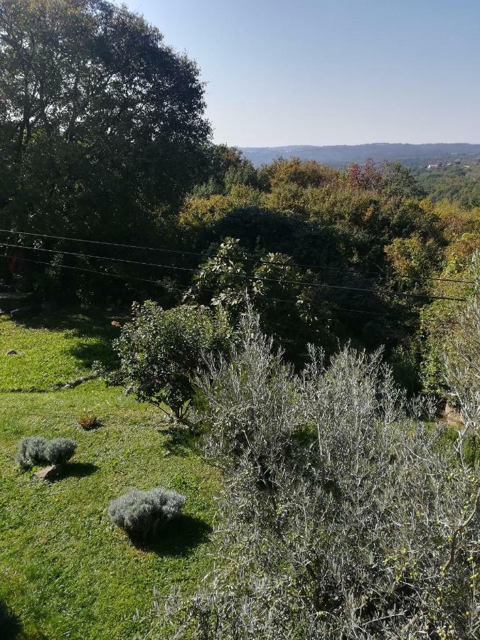 Istria Divina Country house